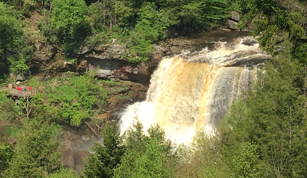 Blackwater Falls State Park Davis Thomas WV West Virginia waterfall