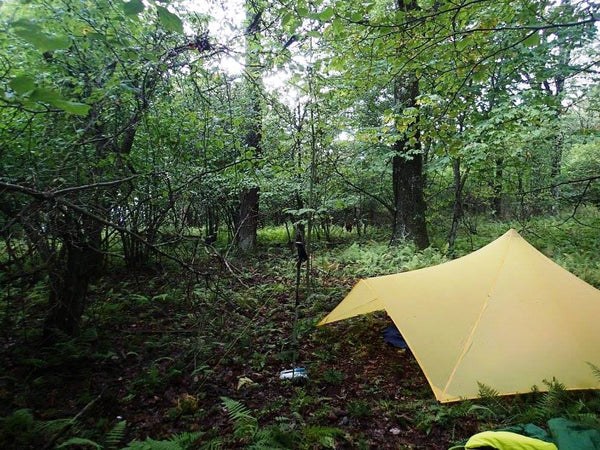 Allegheny Trail Campsite