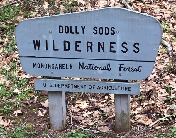 Dolly Sods Monongahela Red Creek hiking overlanding sunrise West Virginia WV