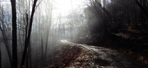 Davis Thomas Canaan Monongahela National Forest hiking overlanding sunset West Virginia WV