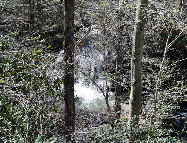 Ohiopyle State Park