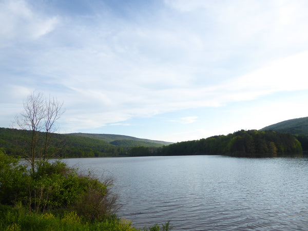 Colyer Lake 