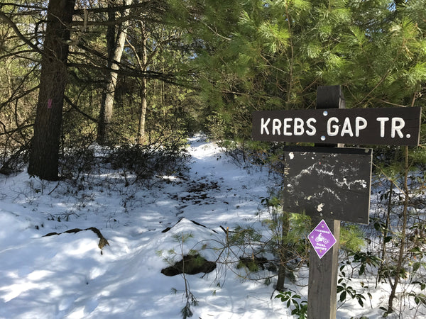 Krebs Gap Trail Snyder Middleswarth Natural Area Bald Eagle State Forest