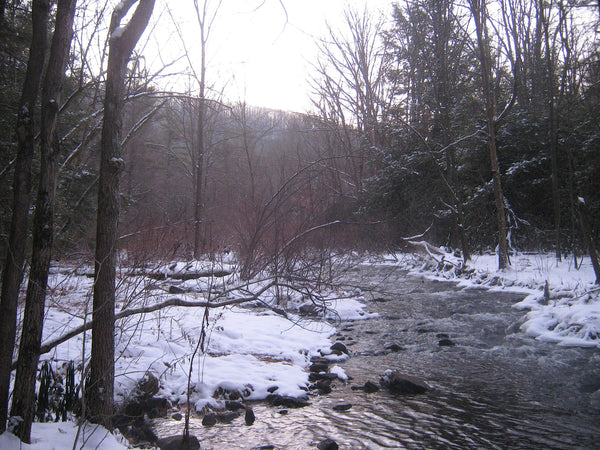 Six Mile Run Allegheny Front Trail Moshannon State Forest PA