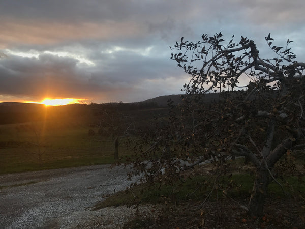 South Mountain Fruit Belt