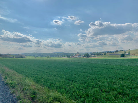 View from Buffalo Valley Rail Trail July 2022