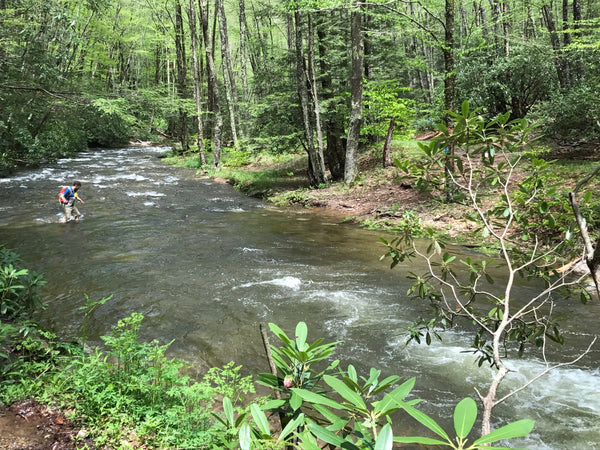 Seneca Creek Trail Seneca Creek Monongahela National Forest WV