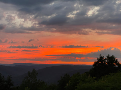 Sunset in Loyalsock State Forest