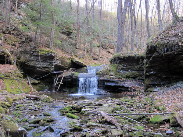 Tioga State Forest Pennsylvania