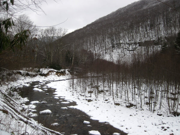 Red Creek Trail, Dolly Sods Wilderness, West Virginia