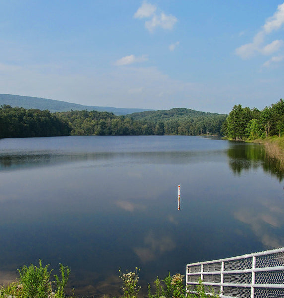 Shaver's Creek Environmental Center Lake Perez