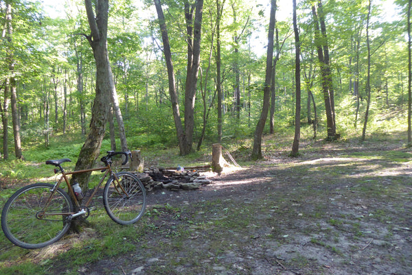Roadside Camp Moshannon State Forest PA