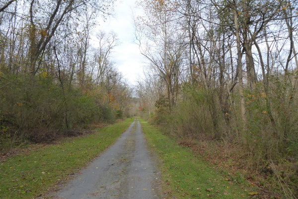 Lower Rail Trail, gravel ride, rails to trails