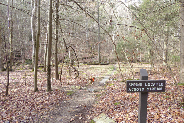 Tumbling Run Shelter Appalachian Trail Michaux State Forest