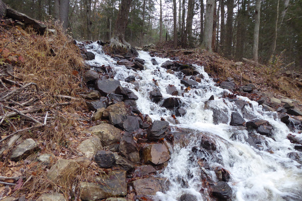 Thaddeus Stevens Historic Trail and Waterfalls