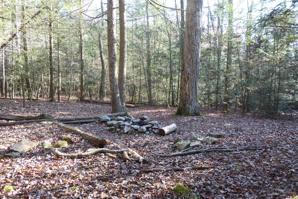 Hosack Run Trail Campsite