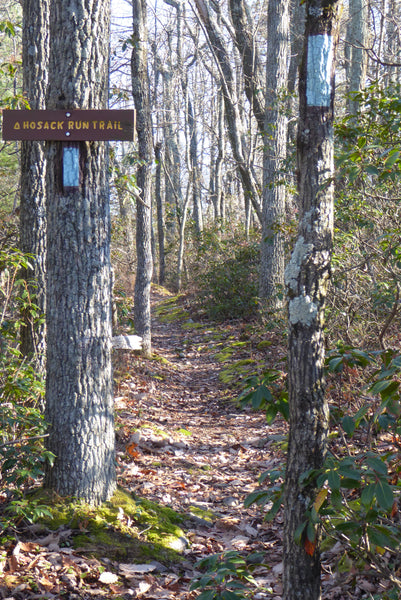 Hosack Run Trail