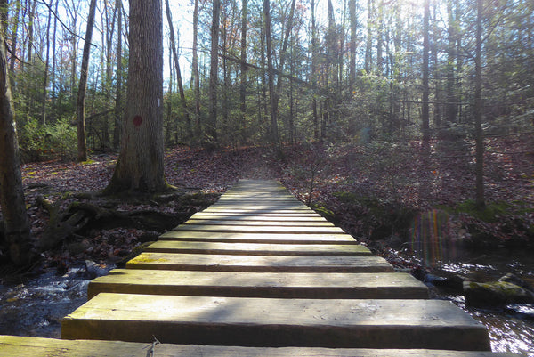 Appalachian Trail Toms Run Bridge Crossing Michaux State Forest PA