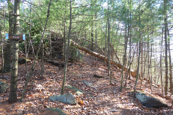 Sunset Rocks Trail Michaux State Forest PA