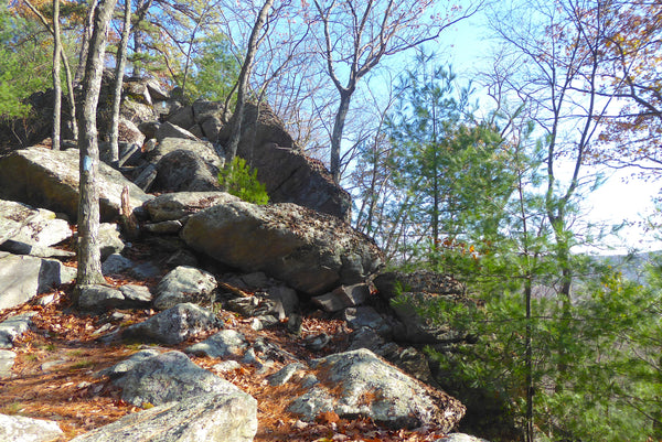 Sunset Rocks Trail Michaux State Forest PA