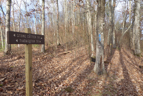 Tiadaghton Trail and Stone Cutter Trail Ramsey PA