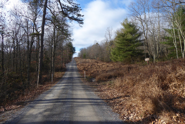 Bull Run Dead End Road #2 Tiadaghton State Forest Ramsey PA