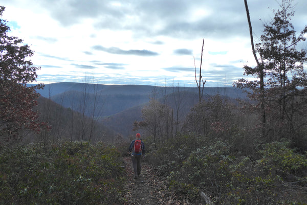 Vista Along Mid State Trail Tiadaghton State Forest PA 