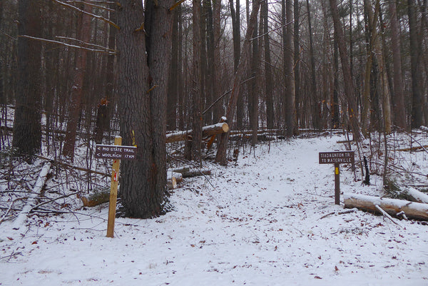 Mid State Trail and Tiadaghton Trail in Ramsey PA