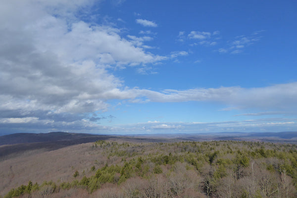 View From Olson Fire Tower, West Virginia