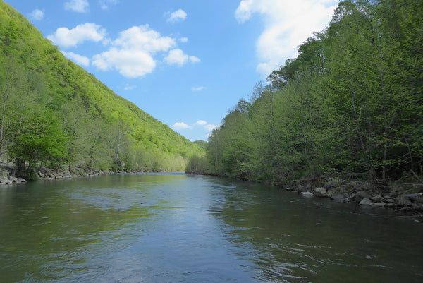 North Branch South Fork Potomac River Monongahela National Forest WV