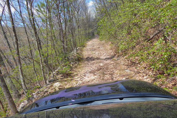 4wd Road in Monongahela National Forest WV