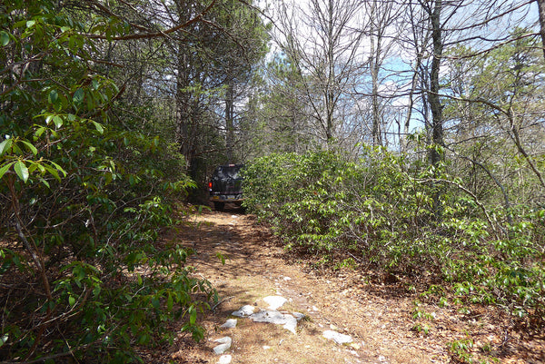 Dirt 4 Wheel Drive Road Monogahela National Forest WV