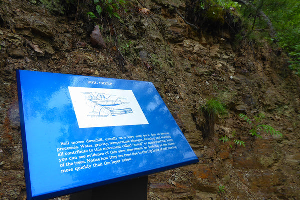 Interpretive Media along Seneca Rocks Trail Monongahela National Forest WV