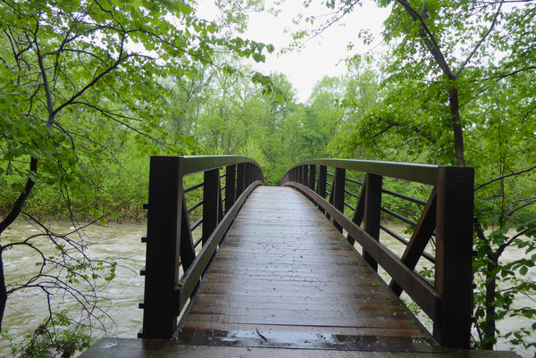 Bridge over North Fork South Branch Potomac River Seneca Rocks Monongahela National Forest