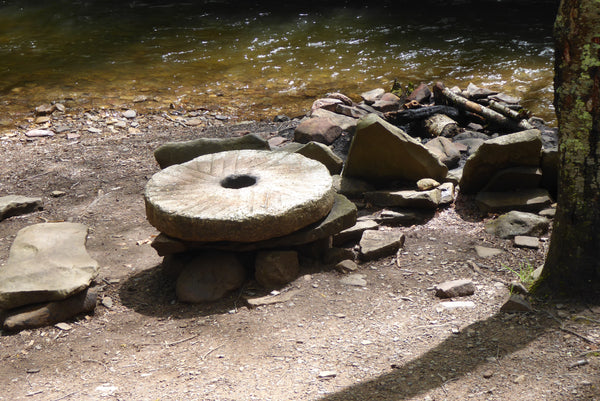 History Along Seneca Creek Trail Monongahela National Forest WV