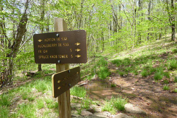 Trail Intersection Monongahela National Forest WV