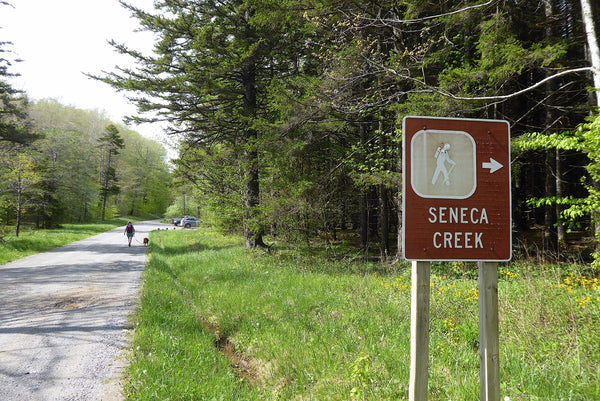 Seneca Creek Trail Monongahela National Forest WV
