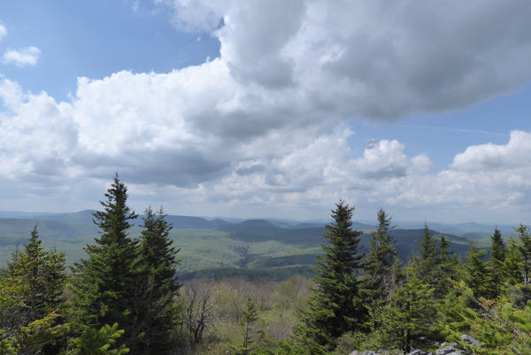 Huckleberry Trail Monongahela National Forest WV