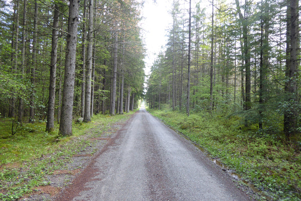 Canaan Loop Road