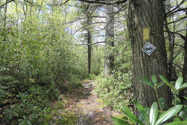 Allegheny Trail West Virginia