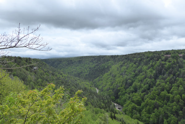 Blackwater Canyon Blackwater River West Virginia