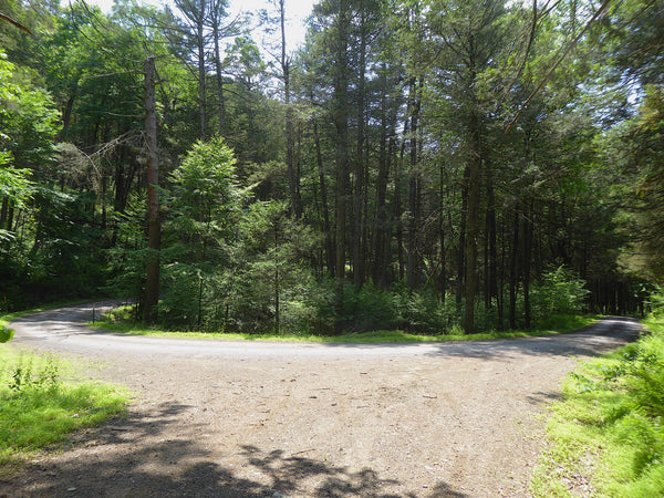 Strongs Improvement Road Flat Hollow Road Bald Eagle State Forest PA