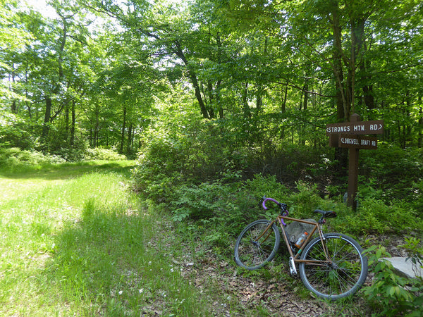 Strongs Mountain Road Longwell Draft Road Bald Eagle State Forest PA