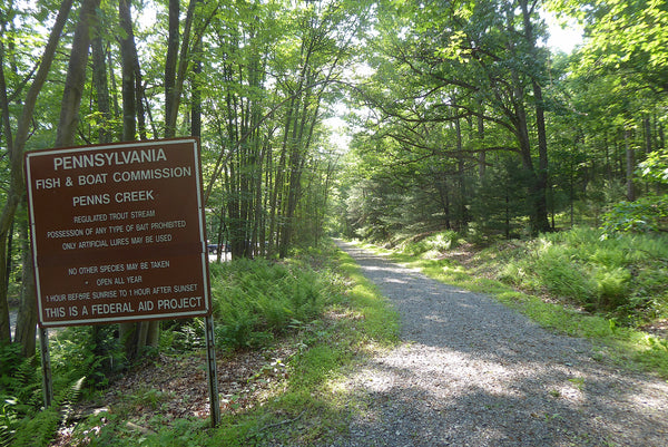 Penns Creek Rail Trail Bald Eagle State Forest PA