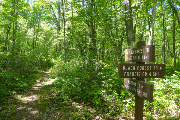 Pennsylvania Hiking Trails