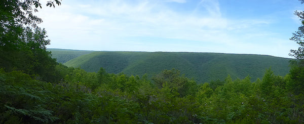 Slate Run Pennsylvania