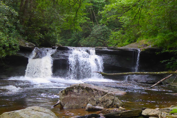 Otter Creek Wilderness WV