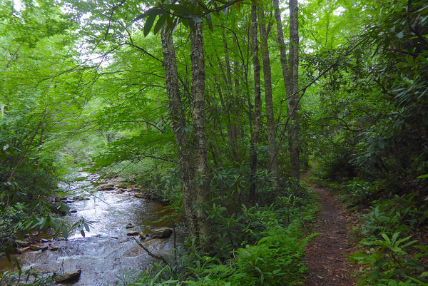 Otter Creek Wilderness