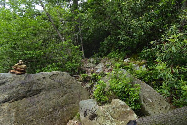 Otter Creek Wilderness WV