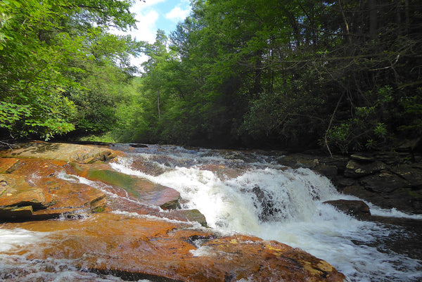 Otter Creek Wilderness WV